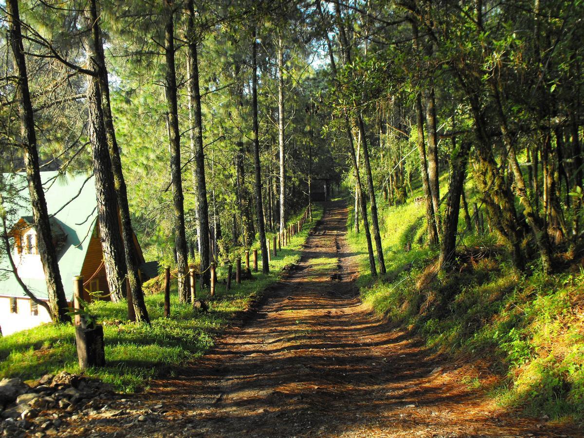 Cabanas Alpinas Lopez Fontes Valle de Bravo Bagian luar foto