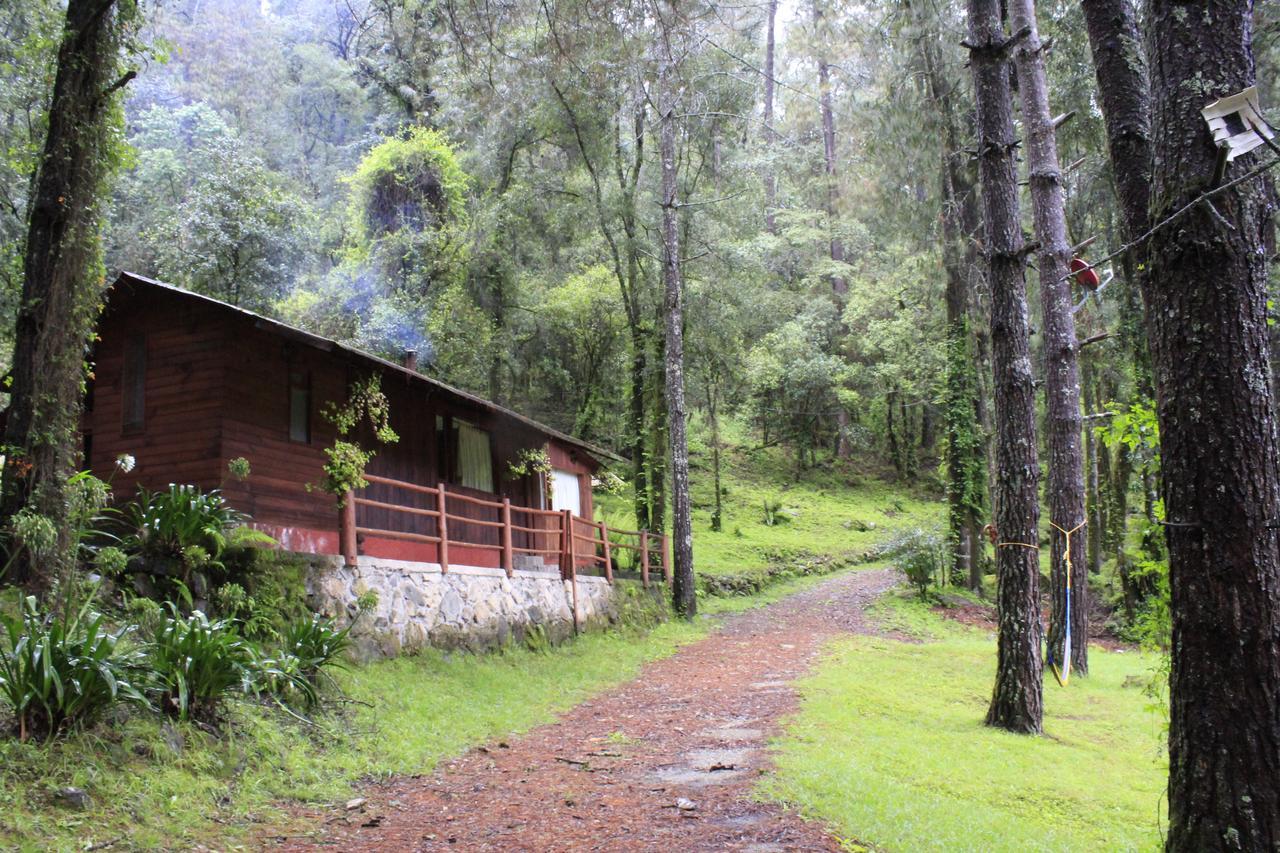 Cabanas Alpinas Lopez Fontes Valle de Bravo Bagian luar foto